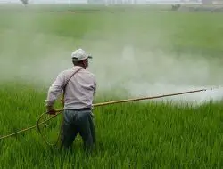 how much does it cost to run a farm - pesticides
