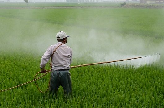 how much does it cost to run a farm - pesticides