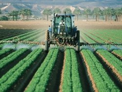 Impact of Agriculture on Environment-pesticides