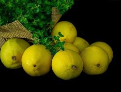 how to grow lemon