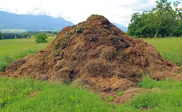 Farm Yard Manure one of the types of natural fertilizers